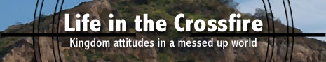 Life in the Crossfire