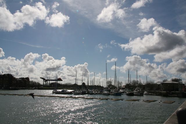 marina_3.jpg